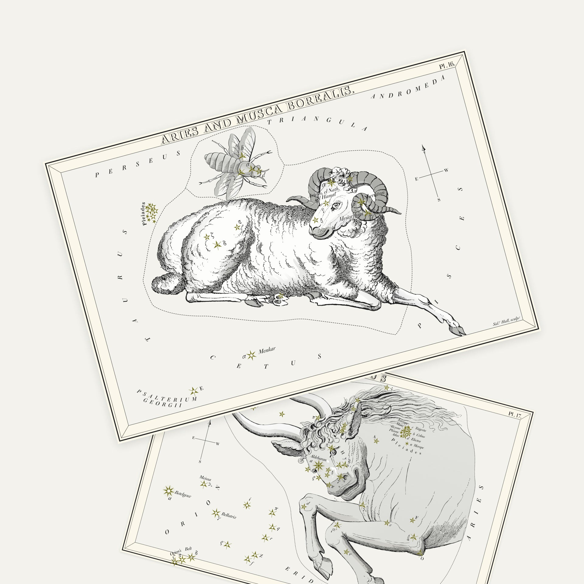 Set of Urania's Mirror x Astrala postcards featuring vintage-style constellation illustrations, including Aries and Taurus, displayed on a light background.