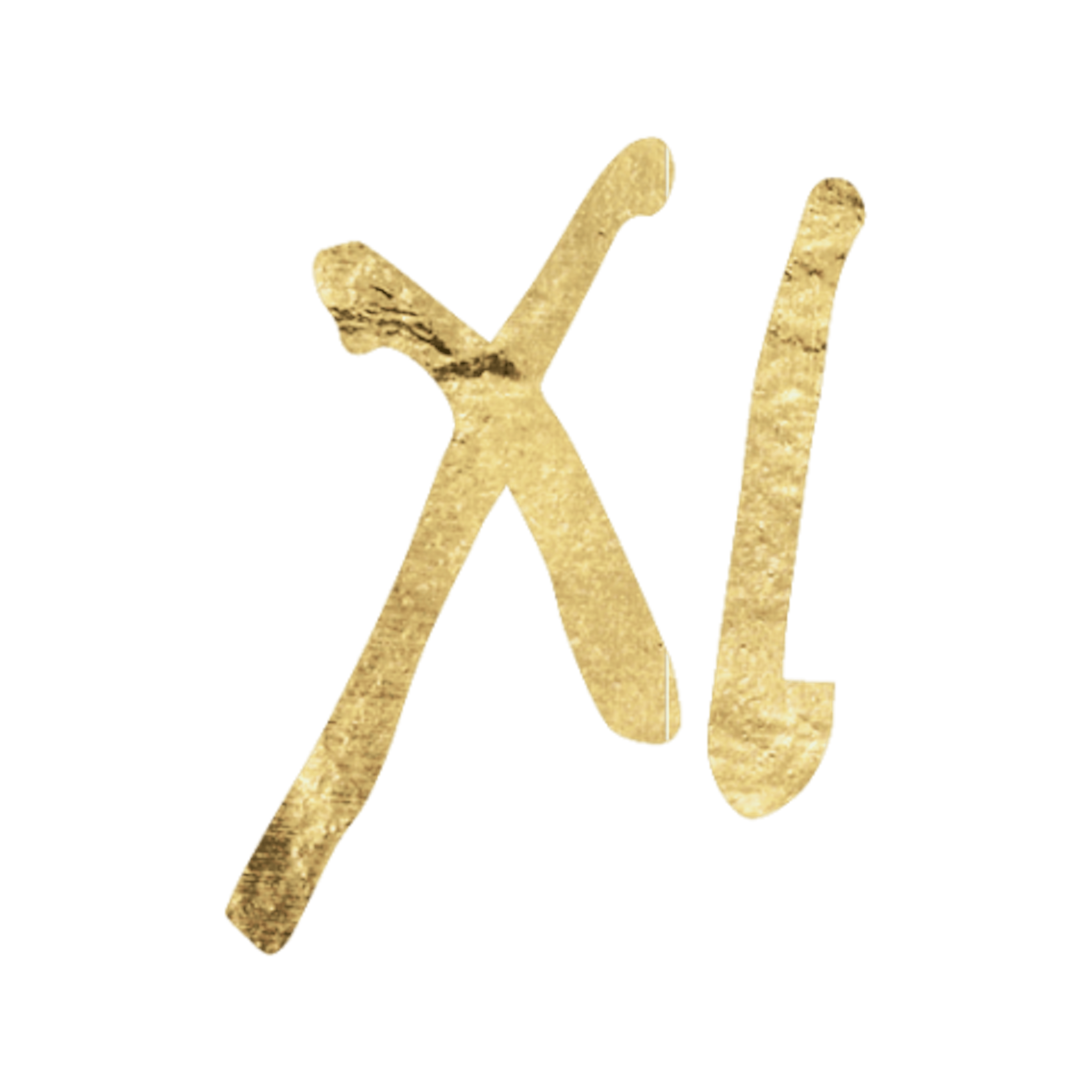 Eleventh House in Astrology Icon