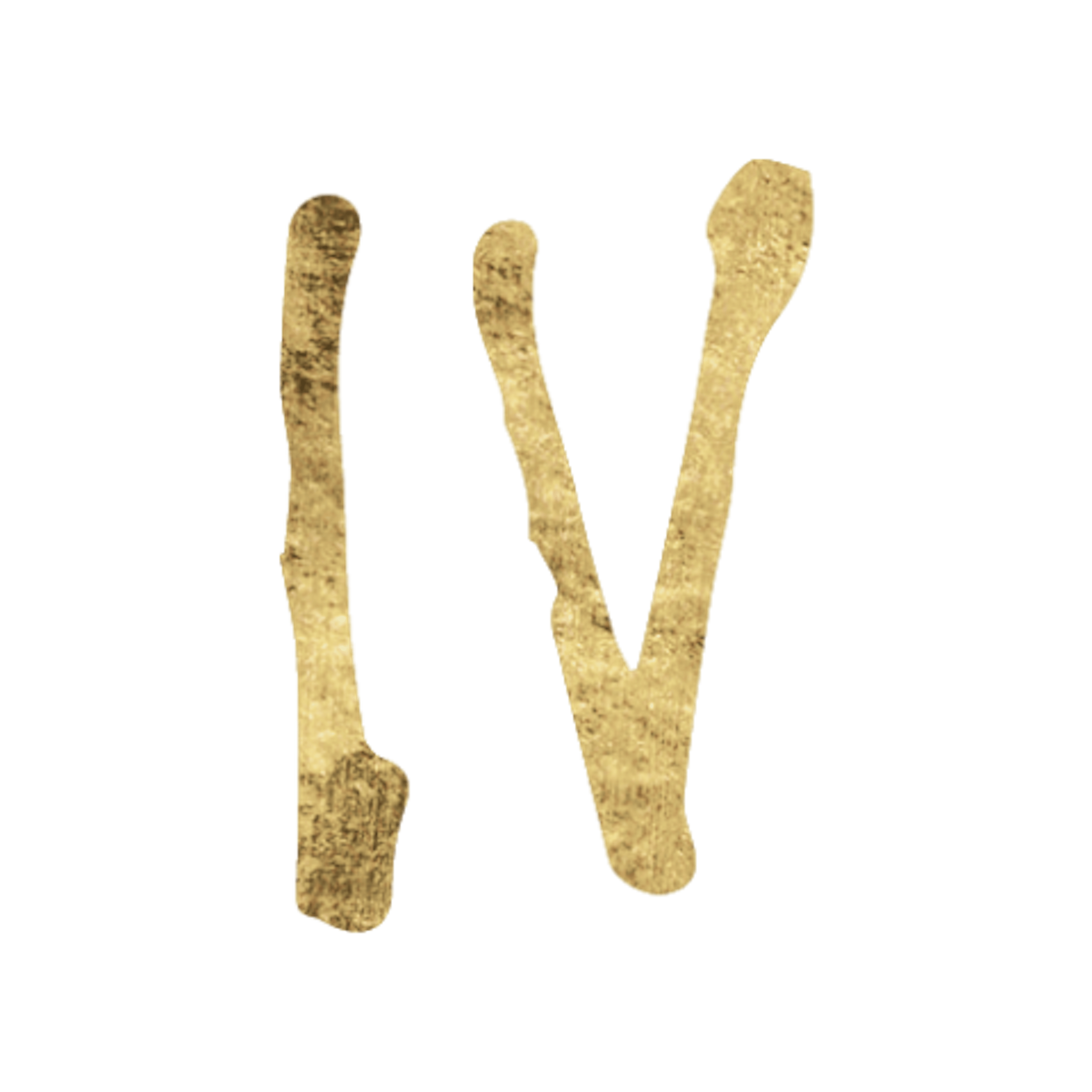 Fourth House in Astrology Icon