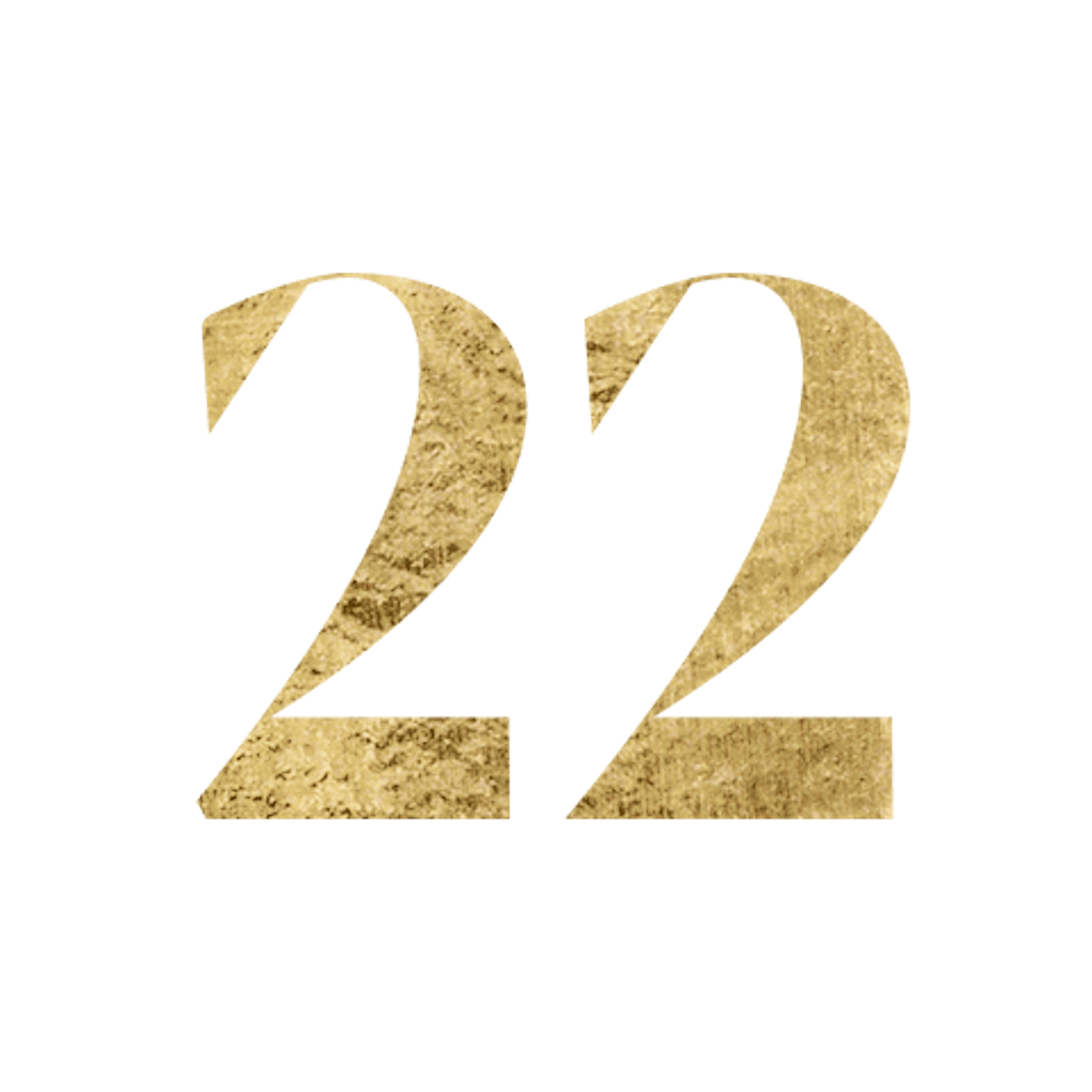 Life Path Number 22 Icon