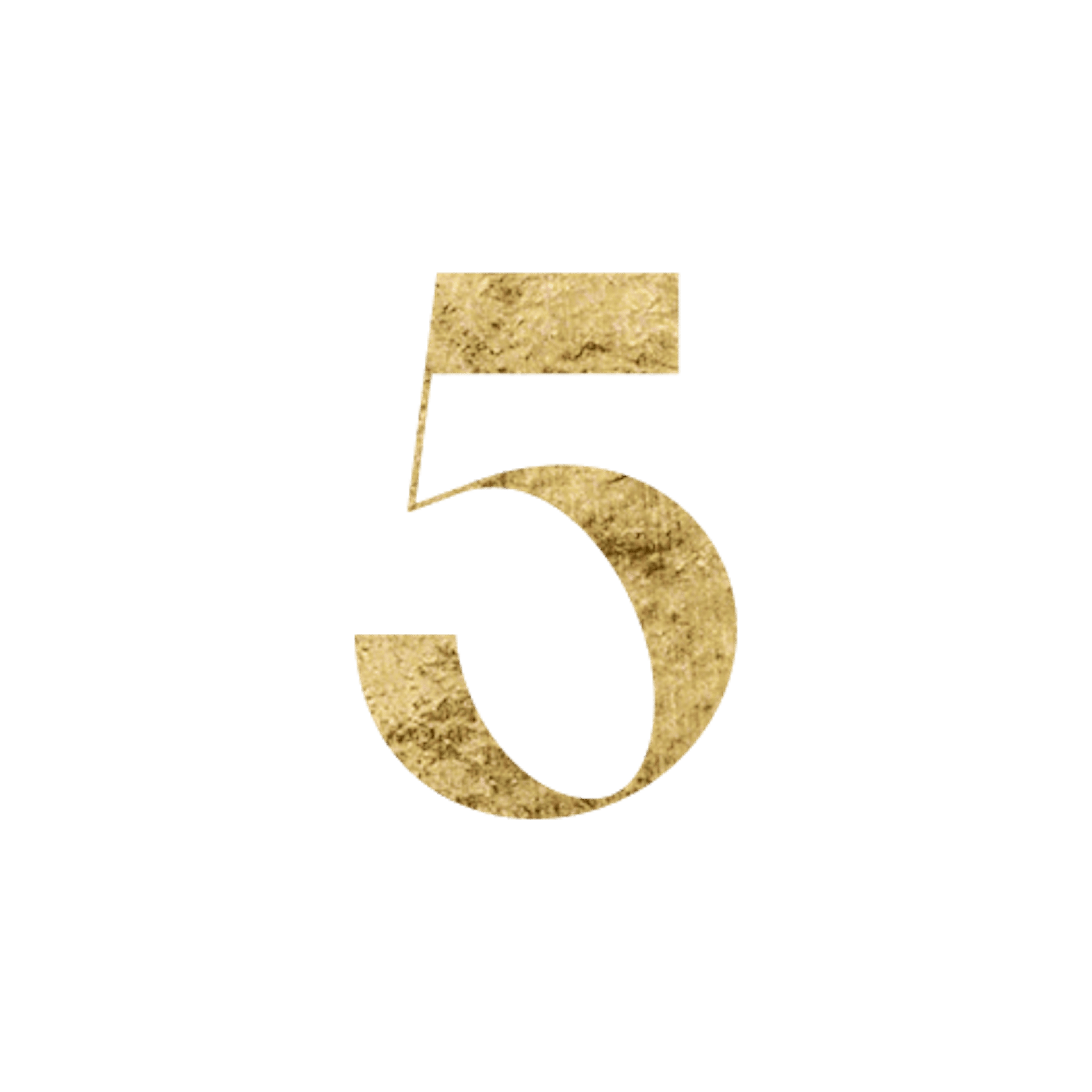 Life Path Number 5 Icon