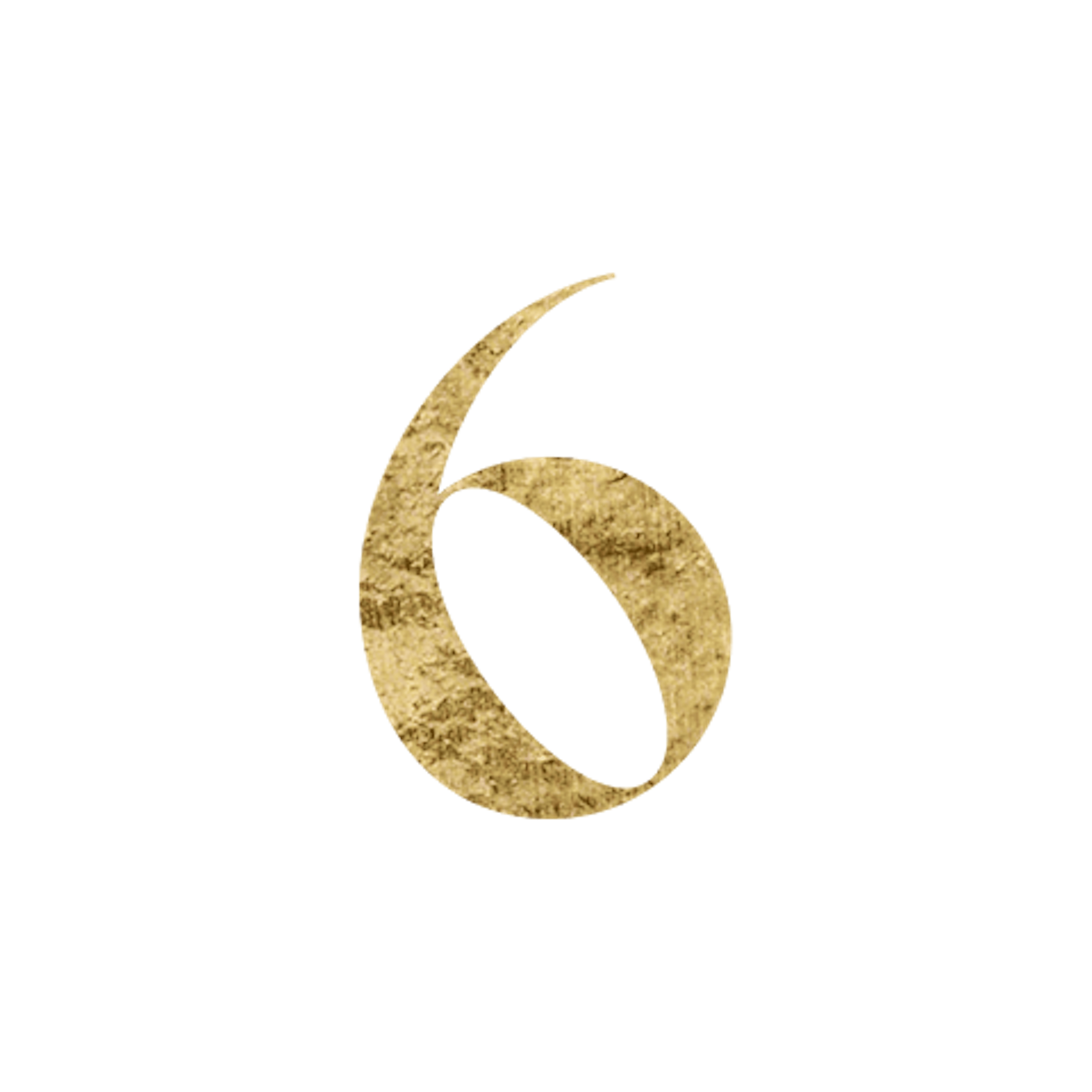 Life Path Number 6 Icon