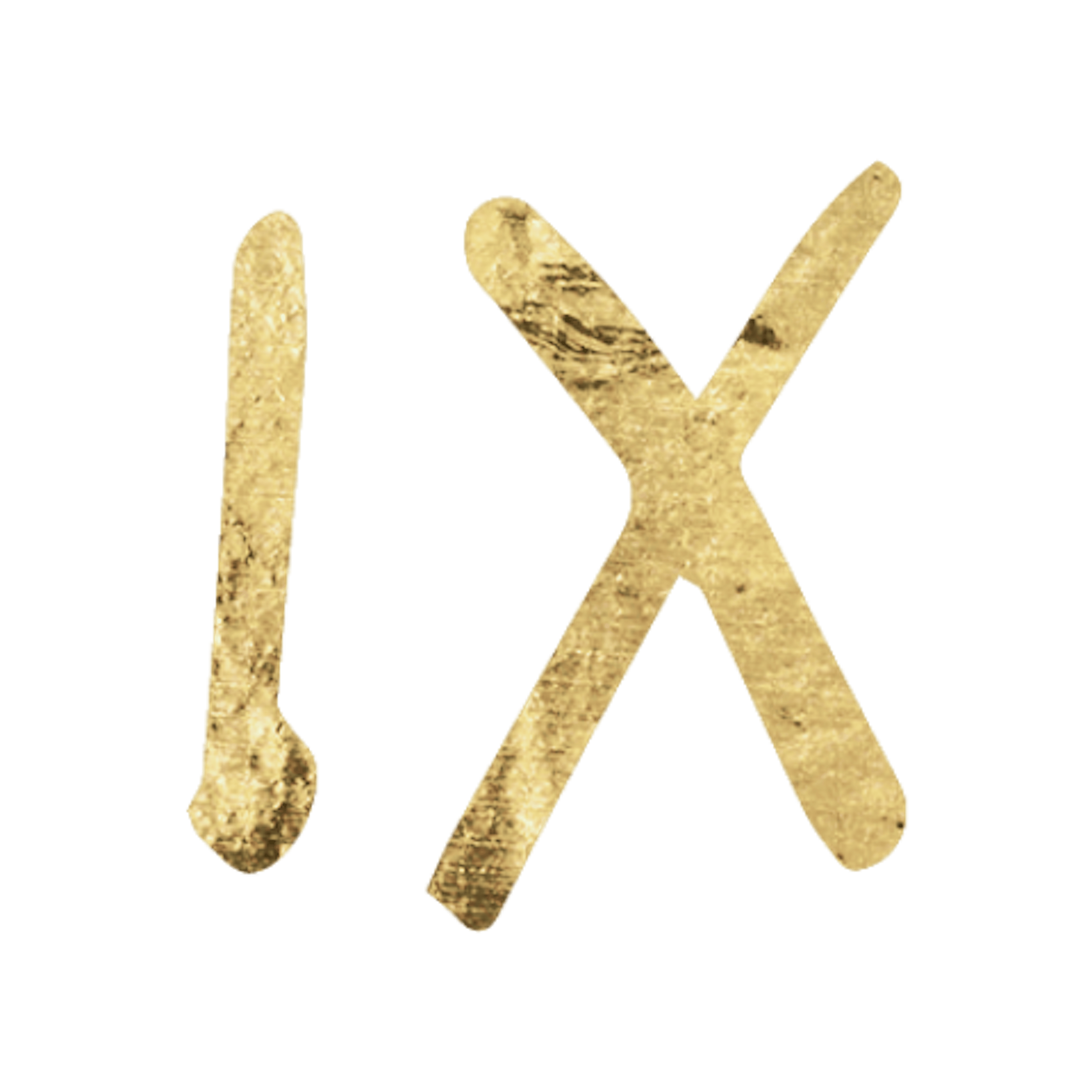 Ninth House in Astrology Icon