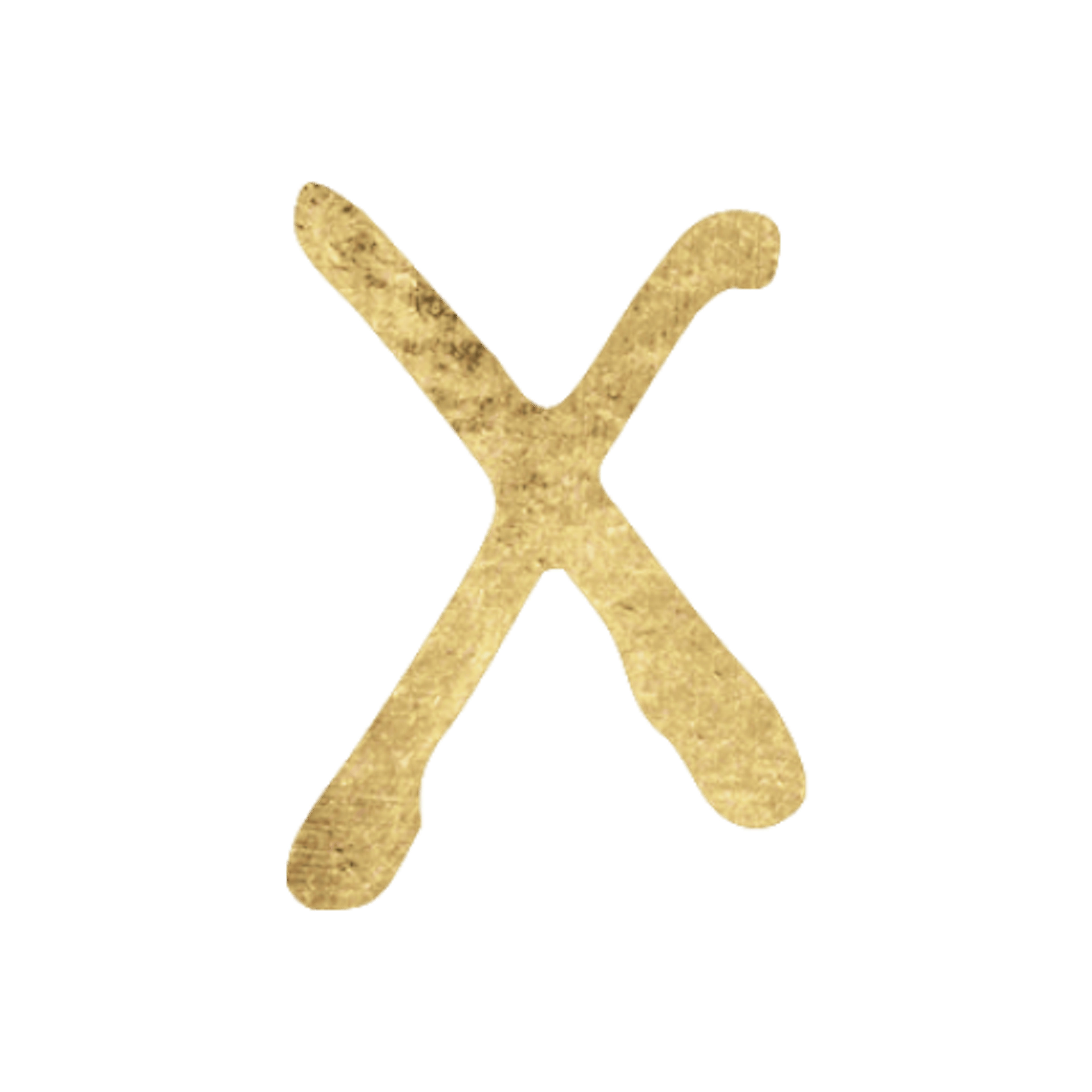 Tenth House in Astrology Icon