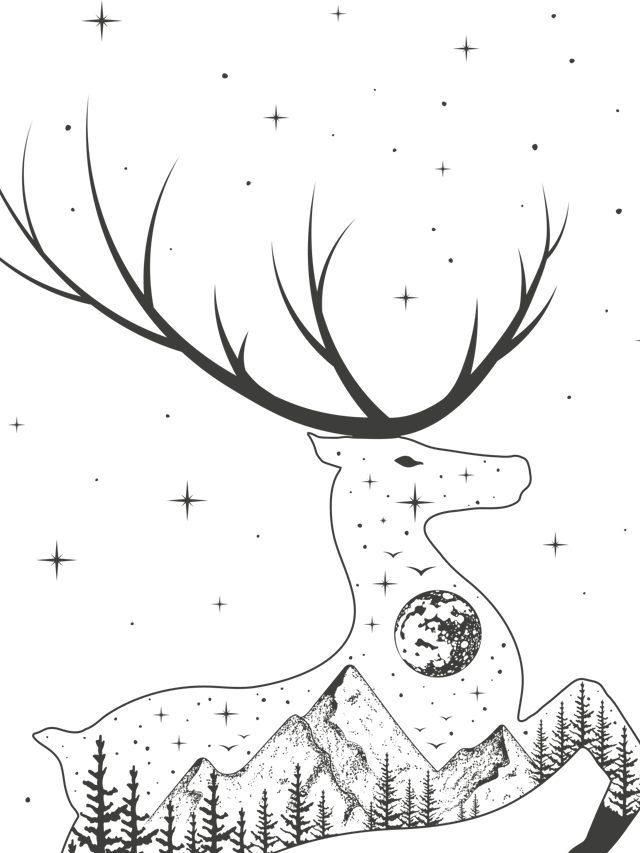 The Chariot Tarot Card Cover