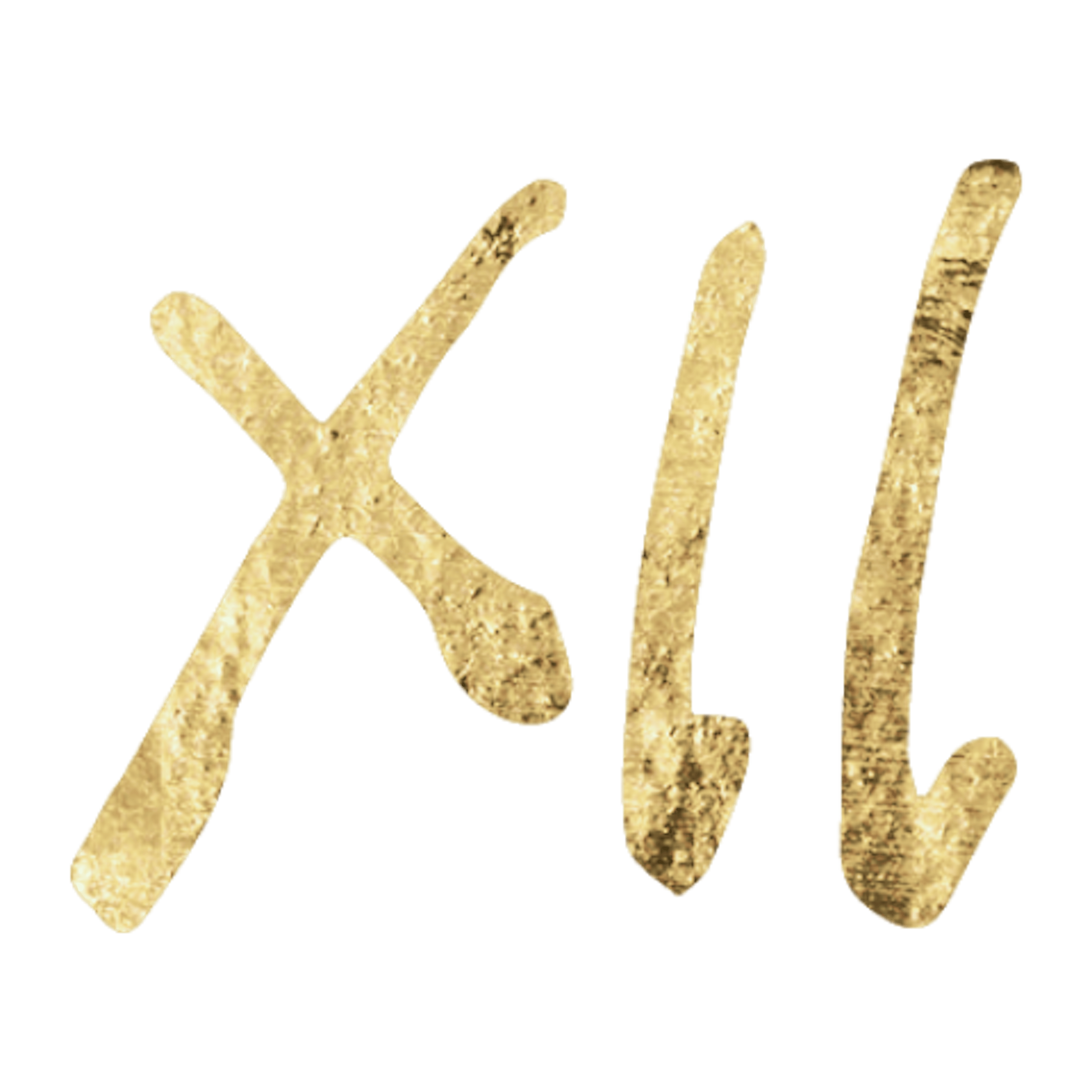 Twelfth House in Astrology Icon